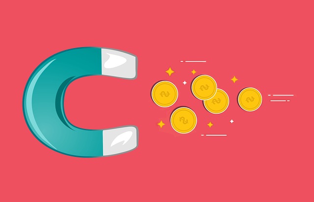 squeeze page and lead magnets