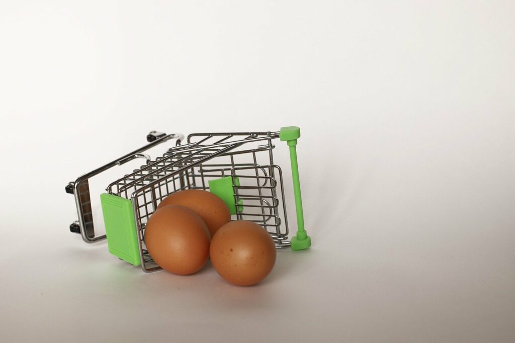 do not put all your eggs in one basket