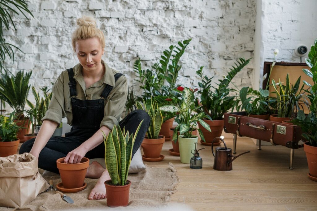 gardening affiliate programs