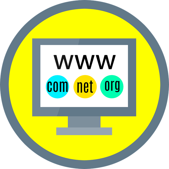 learn how to purchase a domain name for your business site