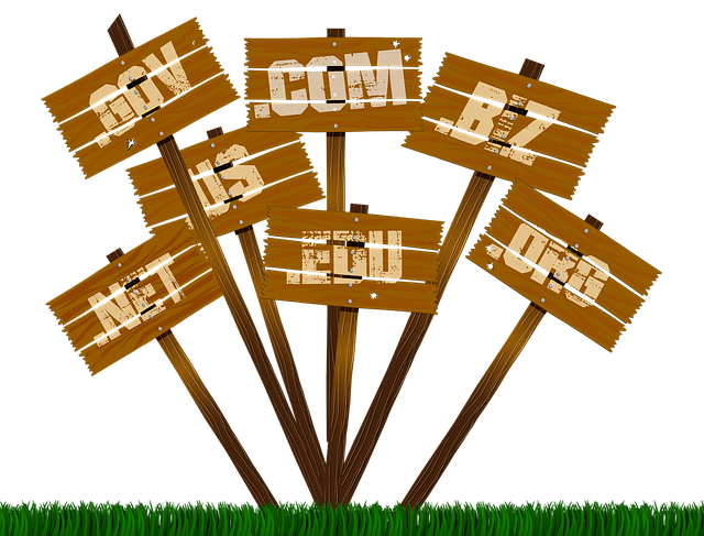 choosing the right domain name