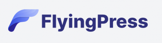 flying press speed optimization plugin for wordpress sites
