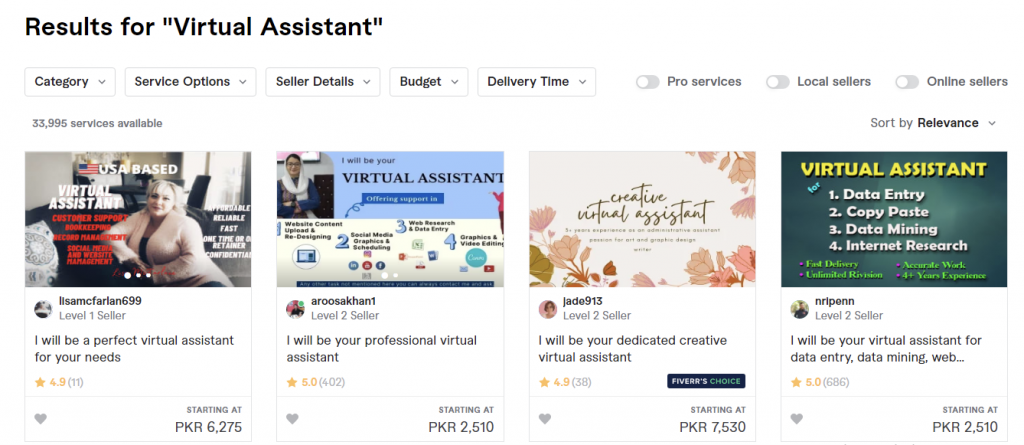what about becoming a virtual assistant?